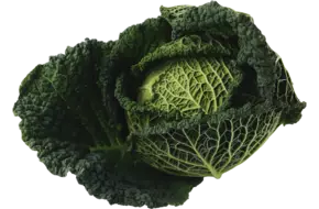 Groene kool +-- 1,3kg
